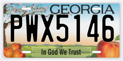 GA license plate PWX5146
