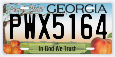 GA license plate PWX5164