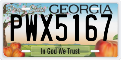 GA license plate PWX5167
