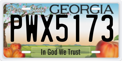 GA license plate PWX5173