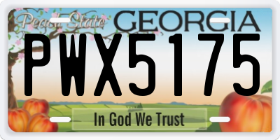 GA license plate PWX5175