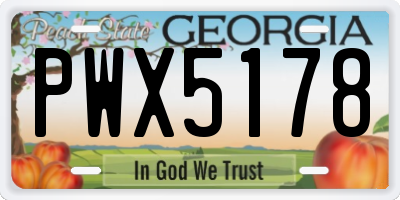 GA license plate PWX5178