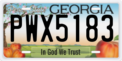 GA license plate PWX5183