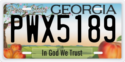 GA license plate PWX5189