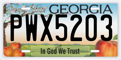 GA license plate PWX5203