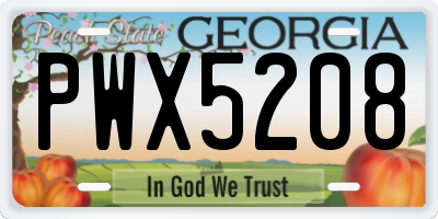GA license plate PWX5208