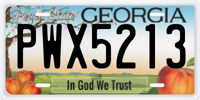 GA license plate PWX5213