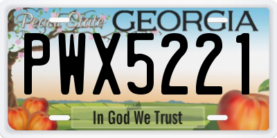 GA license plate PWX5221