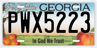 GA license plate PWX5223