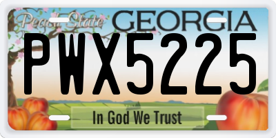 GA license plate PWX5225