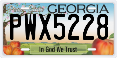 GA license plate PWX5228