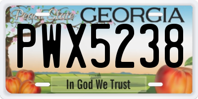 GA license plate PWX5238