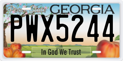 GA license plate PWX5244