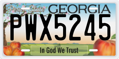 GA license plate PWX5245
