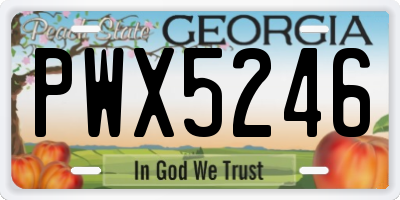 GA license plate PWX5246