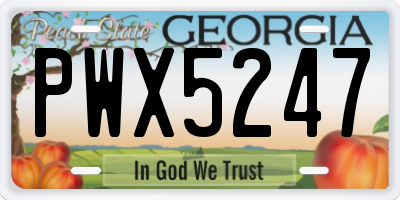 GA license plate PWX5247
