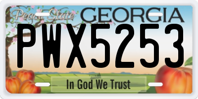 GA license plate PWX5253