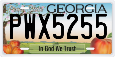 GA license plate PWX5255