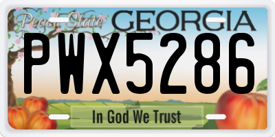 GA license plate PWX5286
