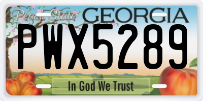 GA license plate PWX5289