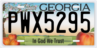 GA license plate PWX5295