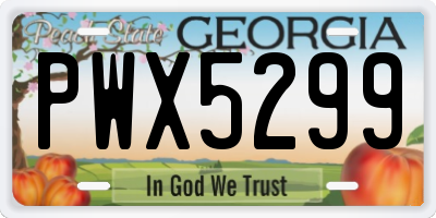 GA license plate PWX5299