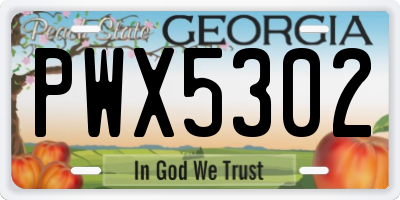 GA license plate PWX5302