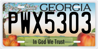 GA license plate PWX5303