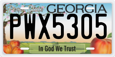 GA license plate PWX5305