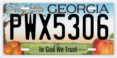 GA license plate PWX5306