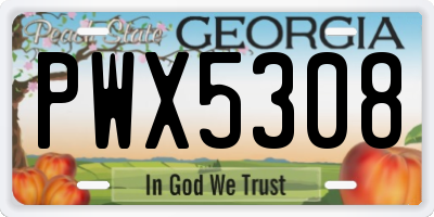 GA license plate PWX5308