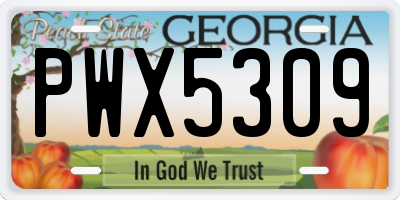 GA license plate PWX5309
