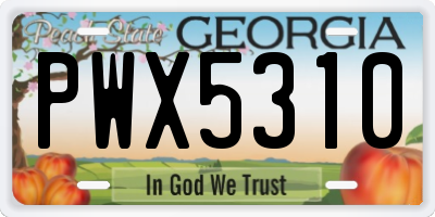 GA license plate PWX5310