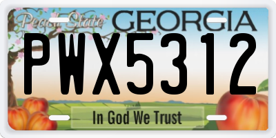 GA license plate PWX5312