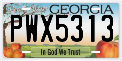 GA license plate PWX5313