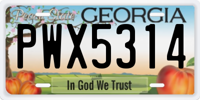 GA license plate PWX5314