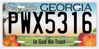 GA license plate PWX5316