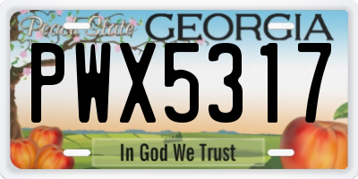 GA license plate PWX5317