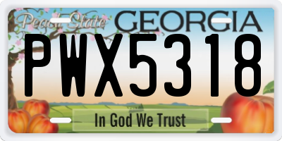 GA license plate PWX5318