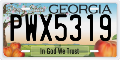 GA license plate PWX5319