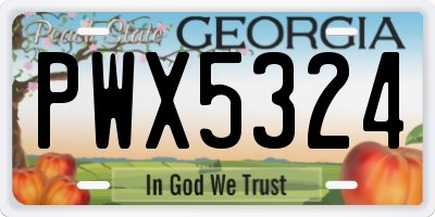 GA license plate PWX5324