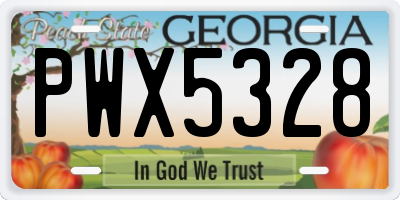 GA license plate PWX5328