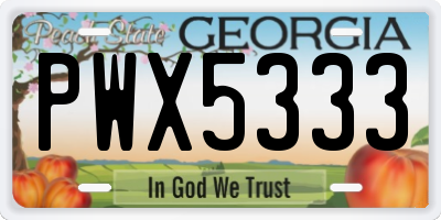 GA license plate PWX5333