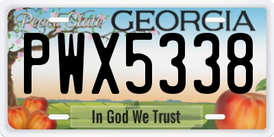GA license plate PWX5338