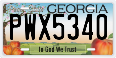 GA license plate PWX5340