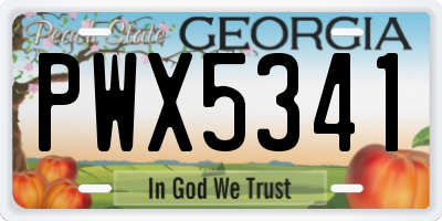 GA license plate PWX5341