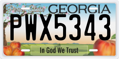 GA license plate PWX5343