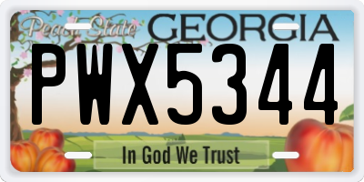 GA license plate PWX5344