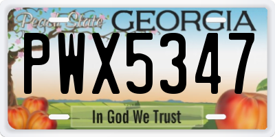 GA license plate PWX5347