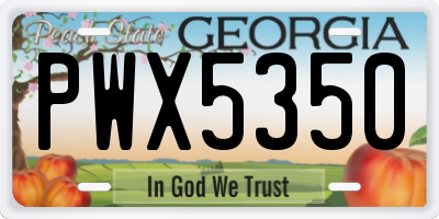 GA license plate PWX5350